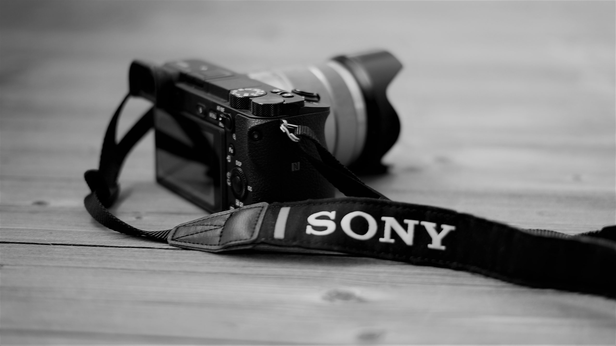 SONY DSC